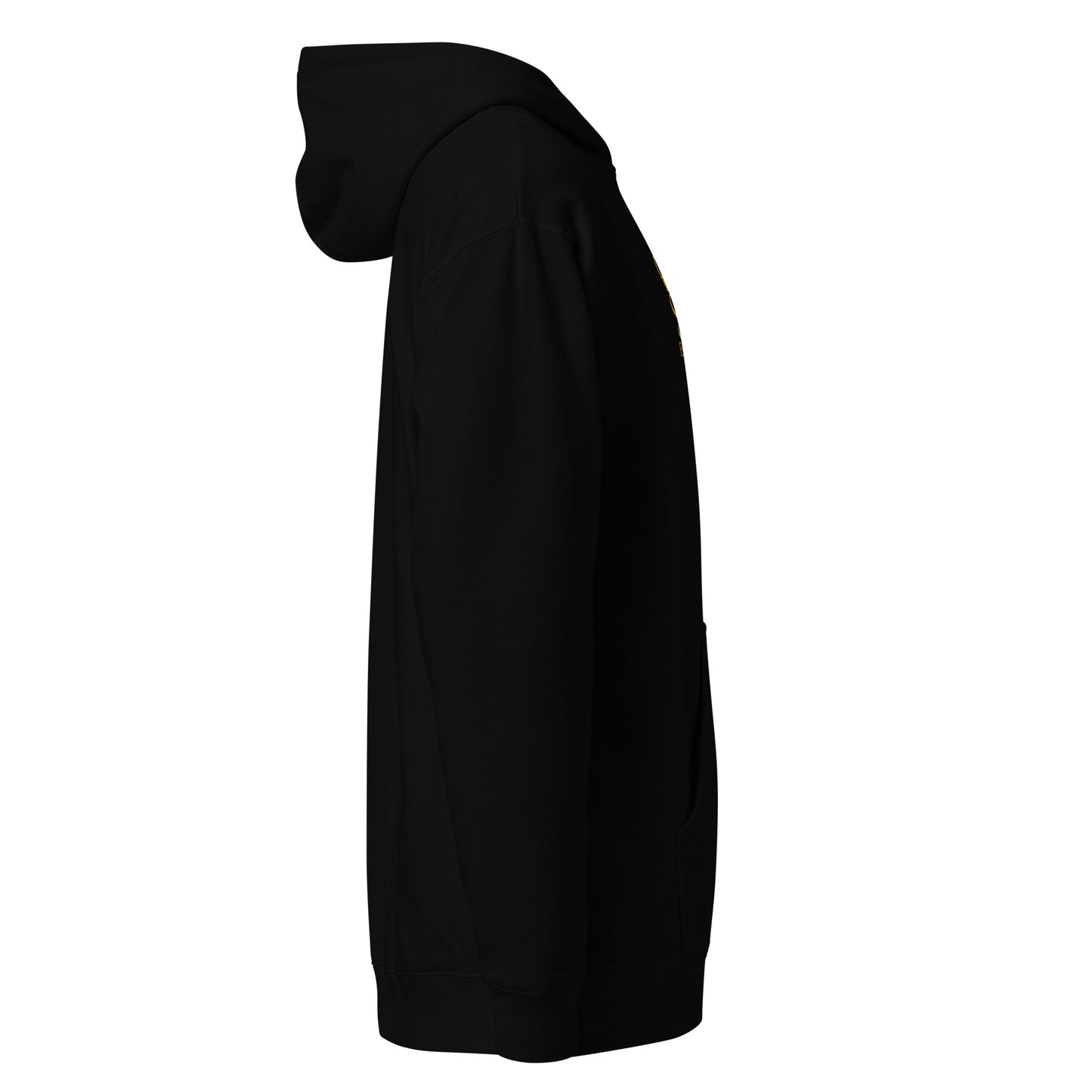 THSR Adult Pullover Hoodie with Center-Chest Logo – Black or White Pullover Hoodies Featuring Gold "SR Est. 2008" under a crown Design for Adults